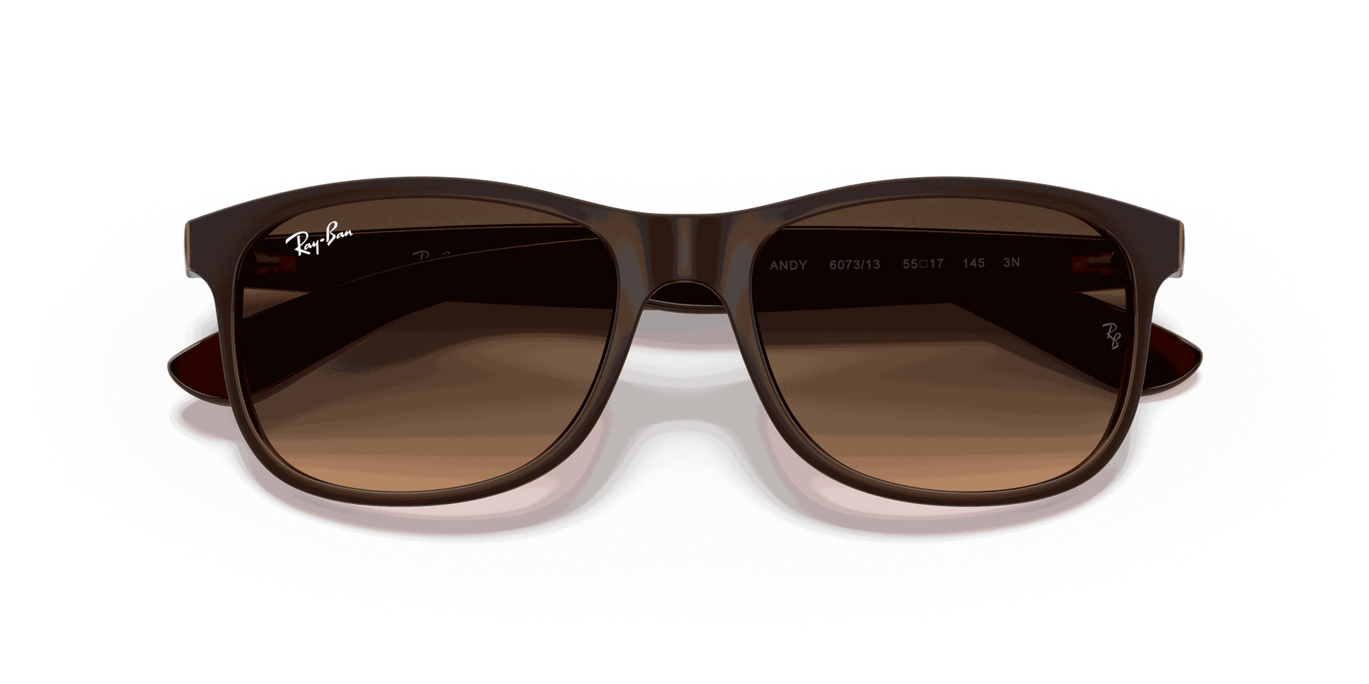 [Brown Gradient Lenses, Matte Brown Frame]