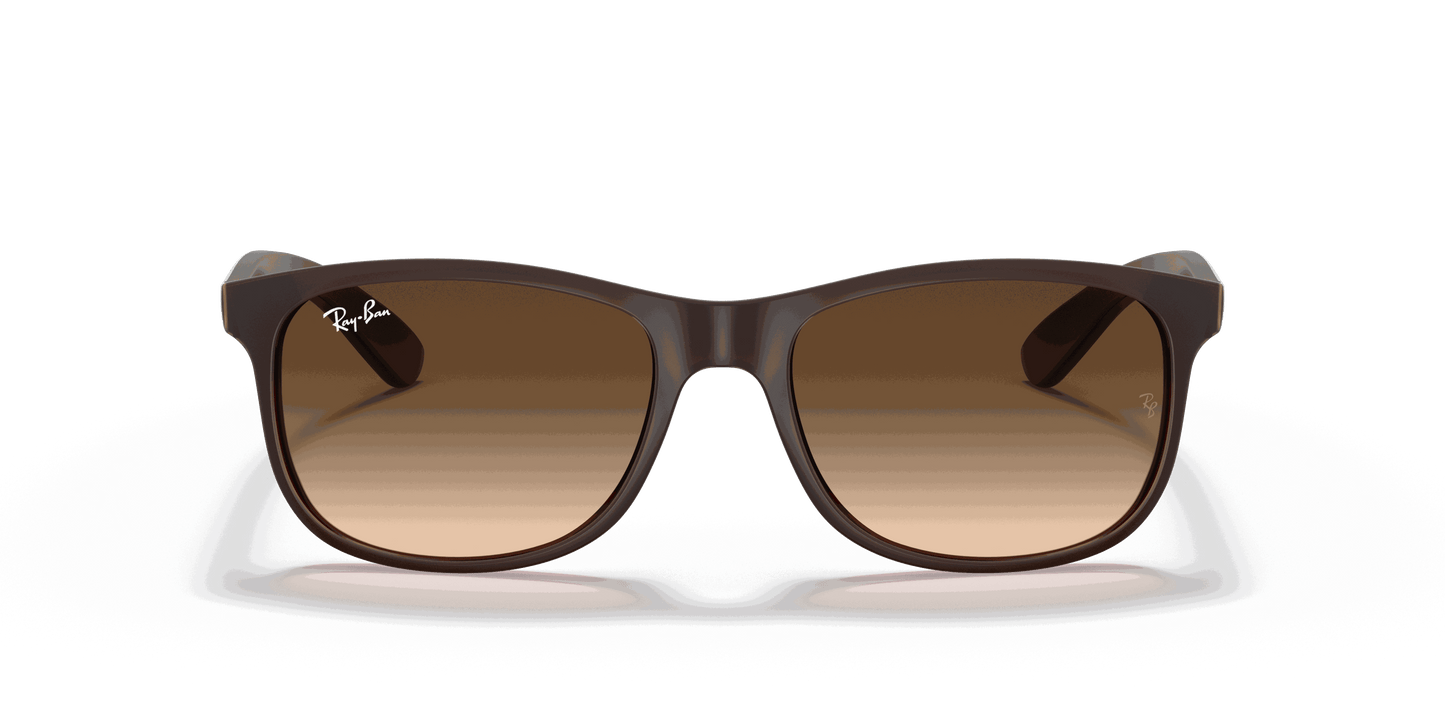 [Brown Gradient Lenses, Matte Brown Frame]