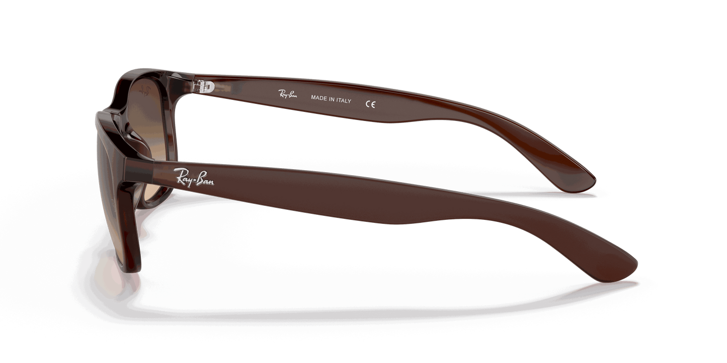 [Brown Gradient Lenses, Matte Brown Frame]
