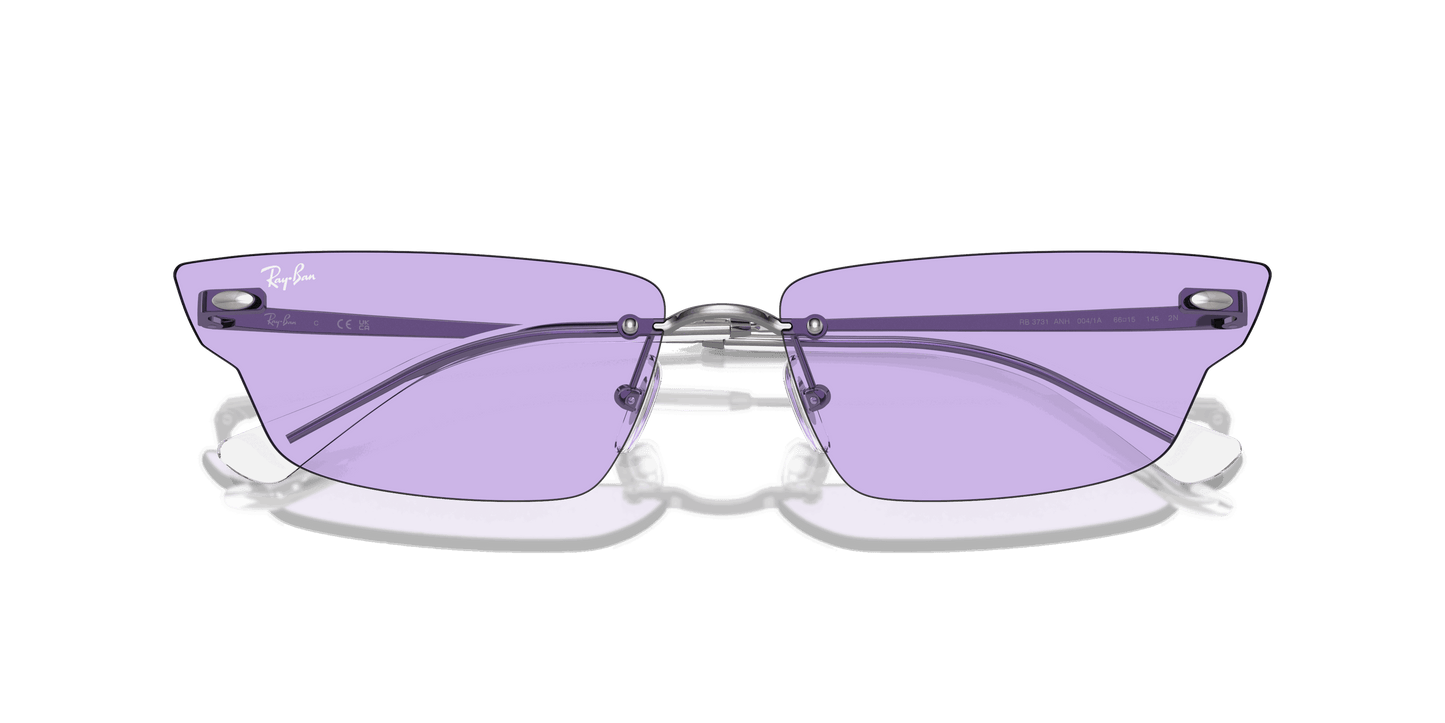 [Violet Lenses, Polished Gunmetal Frame]