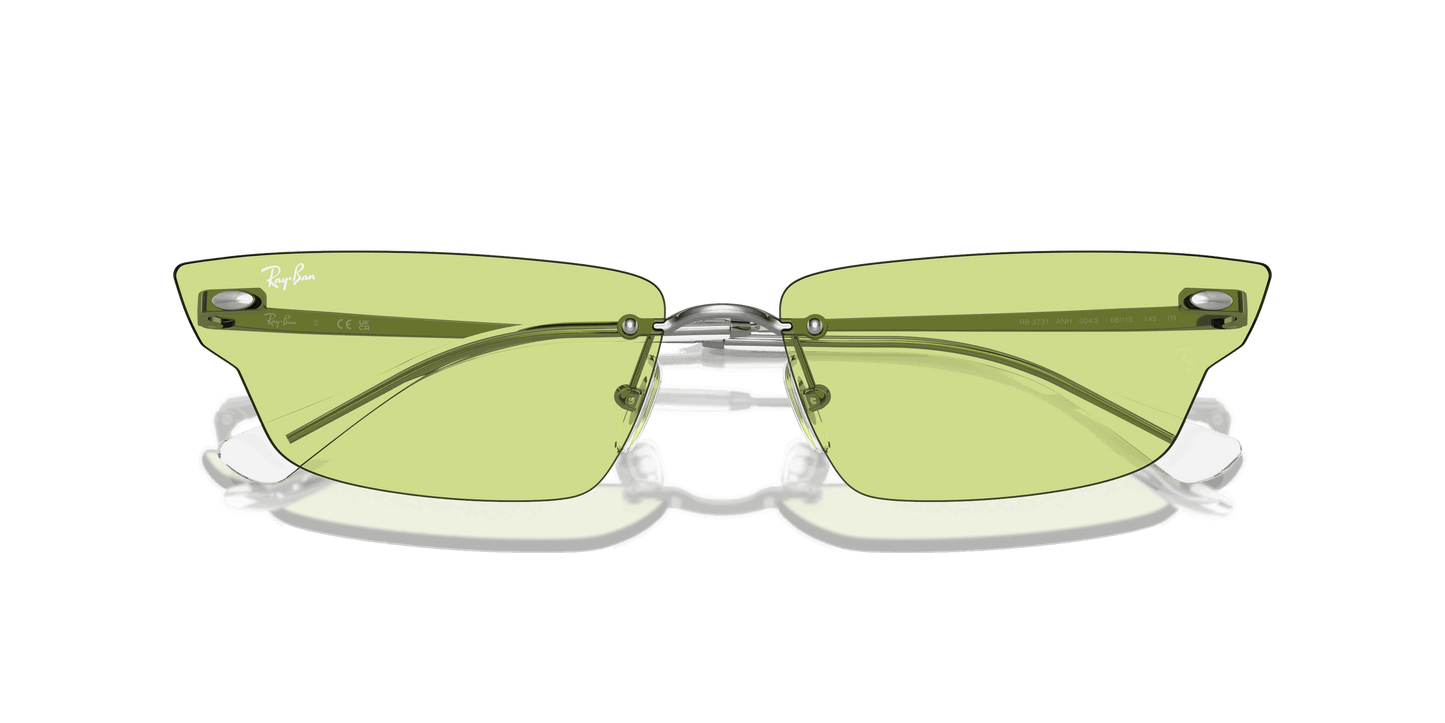 [Green Lenses, Polished Gunmetal Frame]