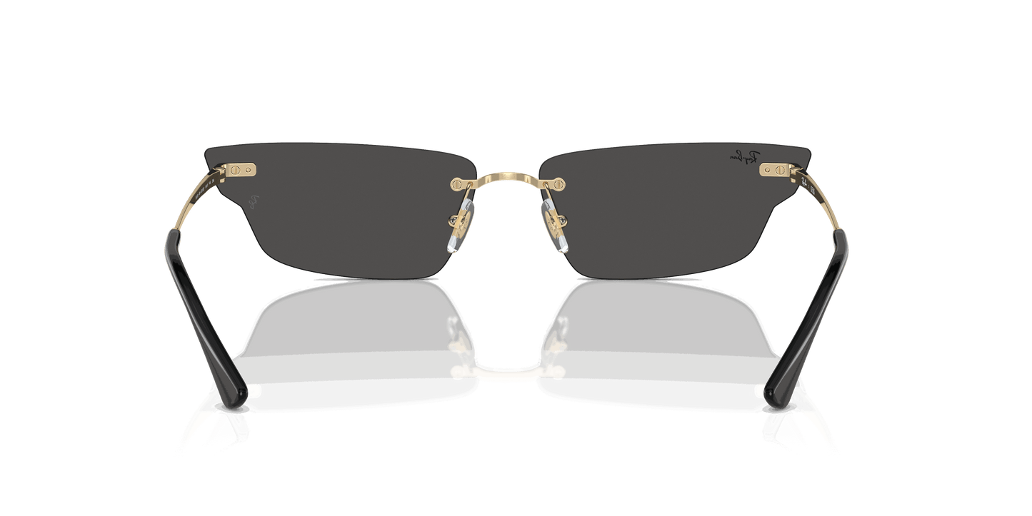 [Dark Grey Lenses, Polished Light Gold Frame]
