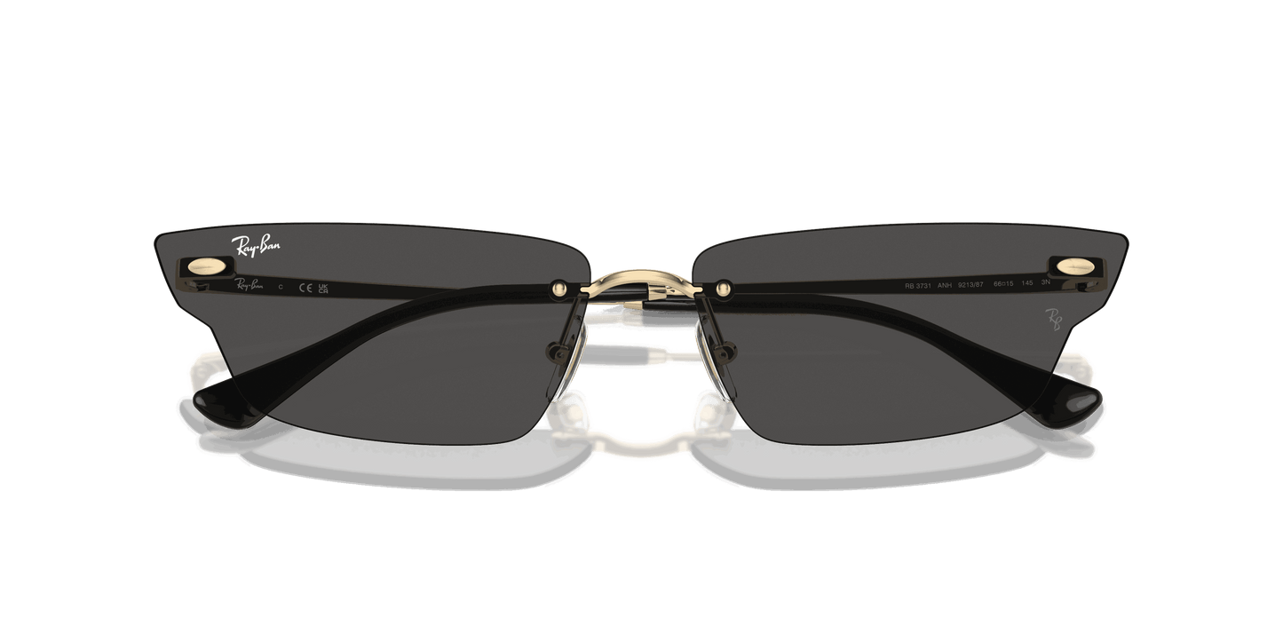 [Dark Grey Lenses, Polished Light Gold Frame]