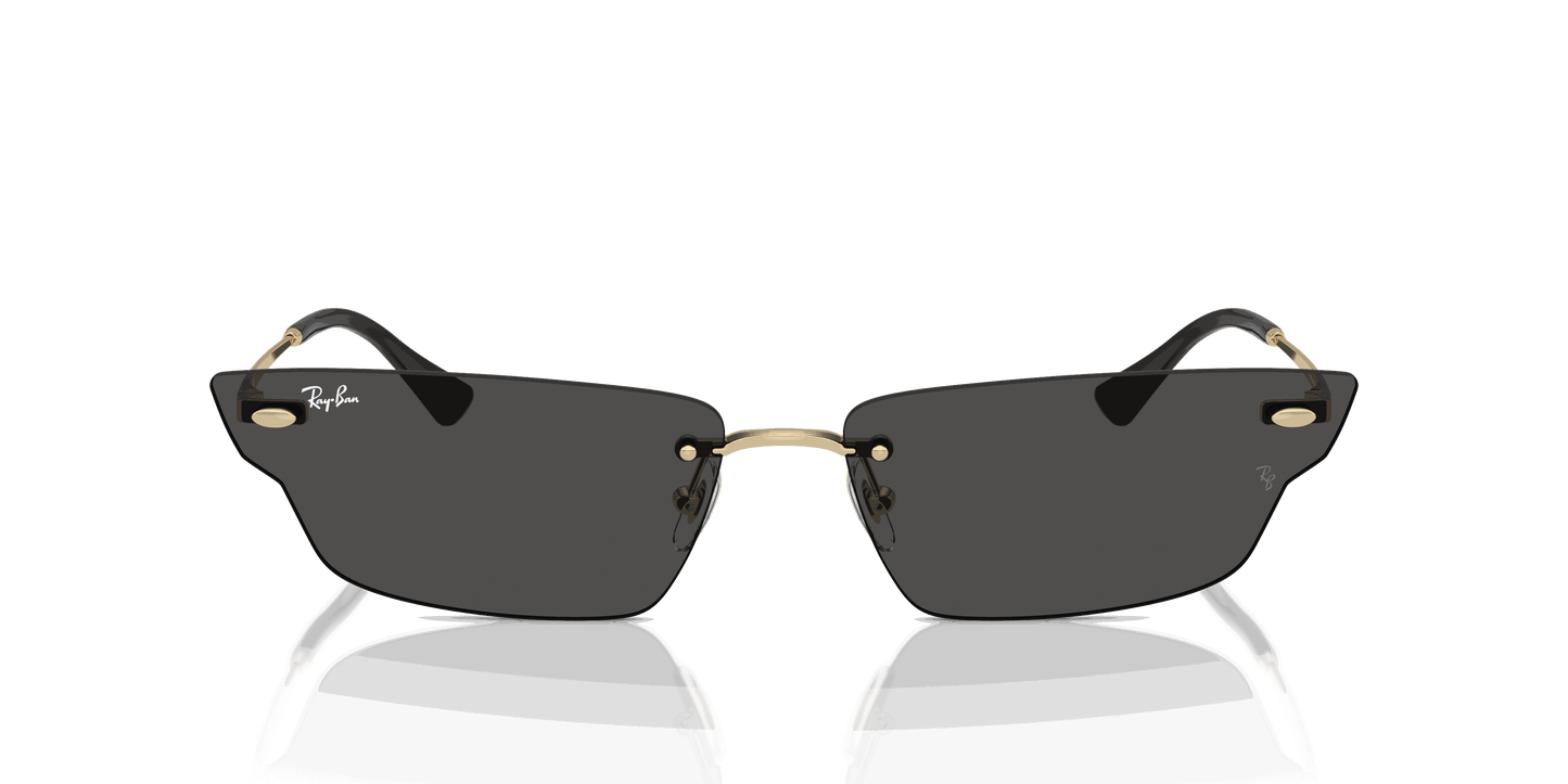 [Dark Grey Lenses, Polished Light Gold Frame]