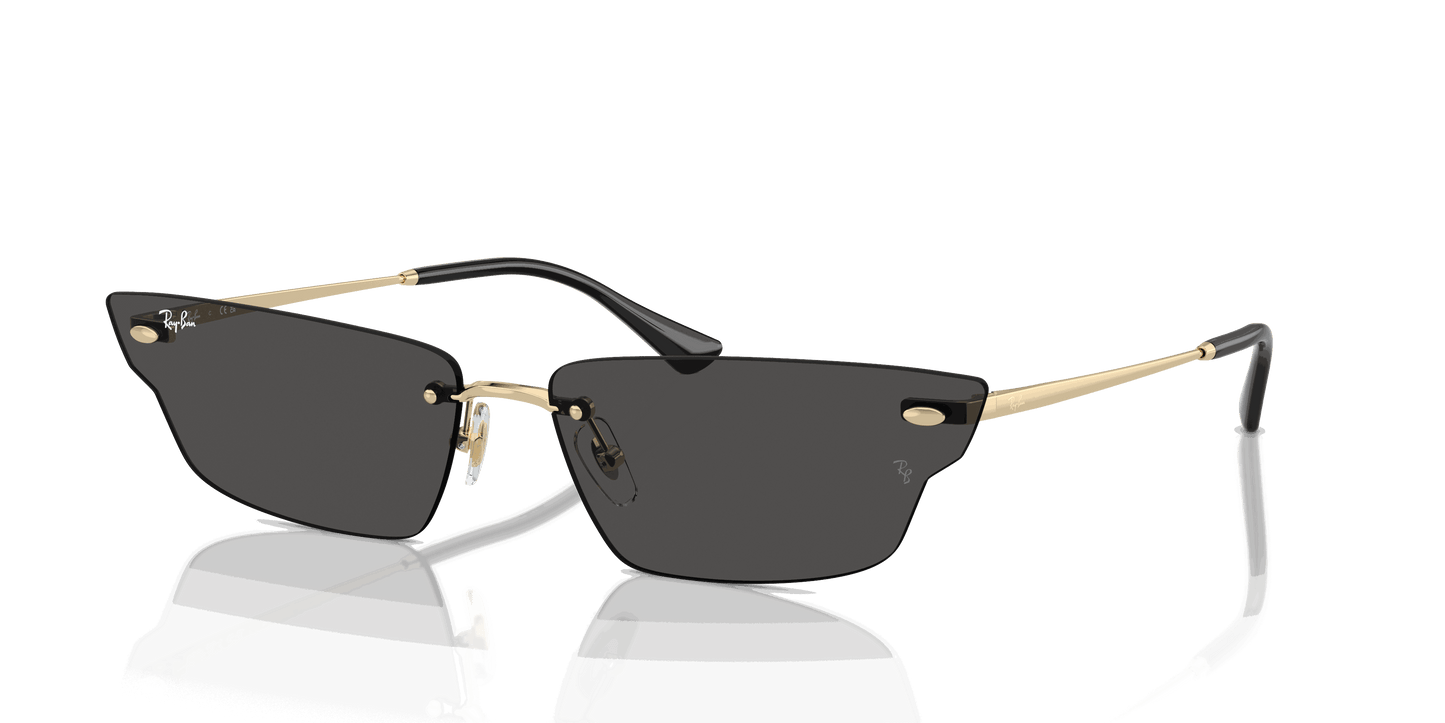 [Dark Grey Lenses, Polished Light Gold Frame]