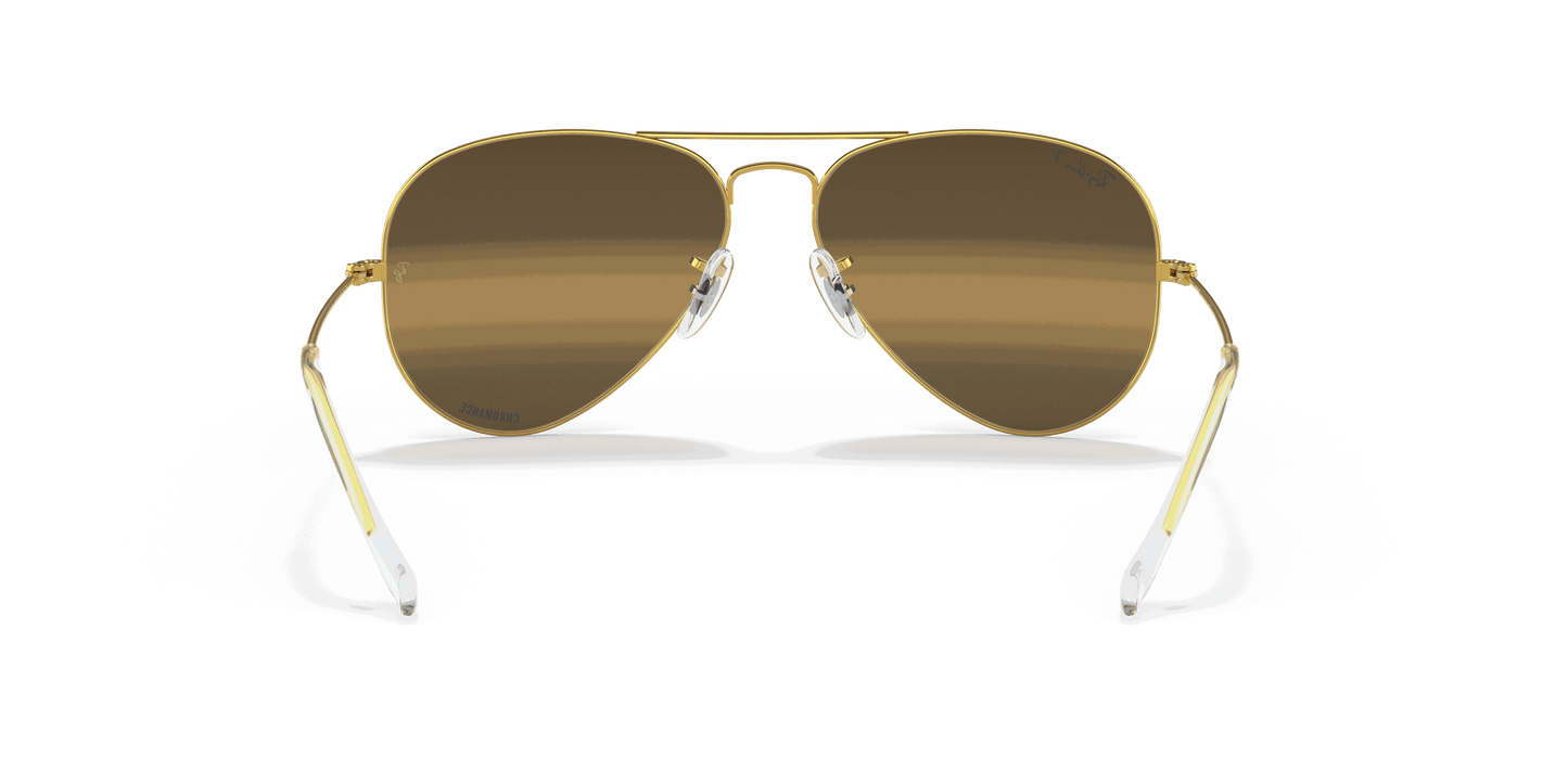 [Silver/Brown Lenses, Polished Gold Frame]
