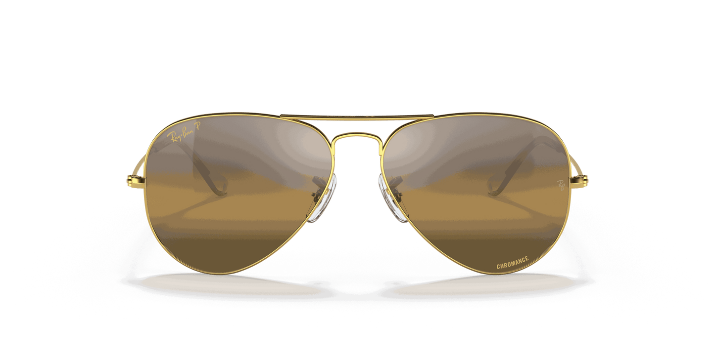 [Silver/Brown Lenses, Polished Gold Frame]