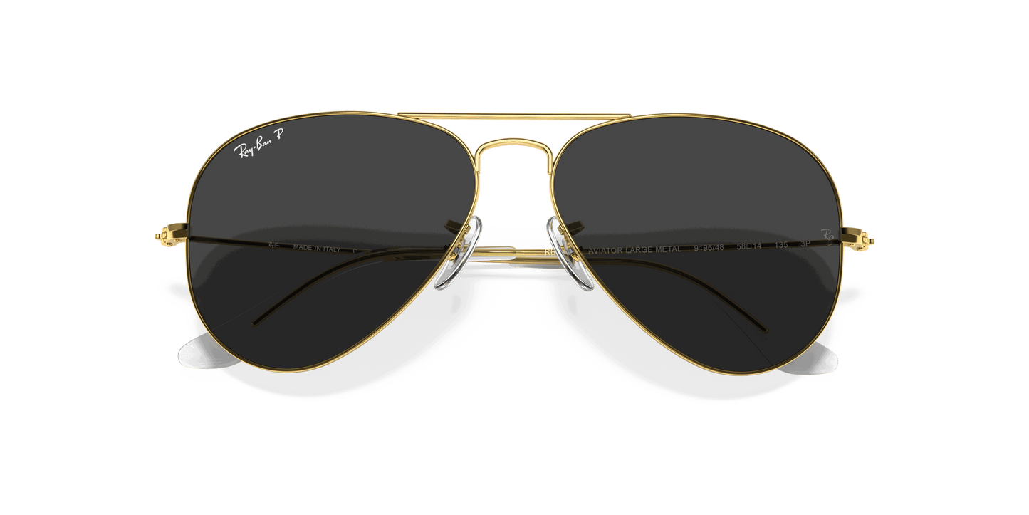 [Black Lenses, Polished Gold Frame]