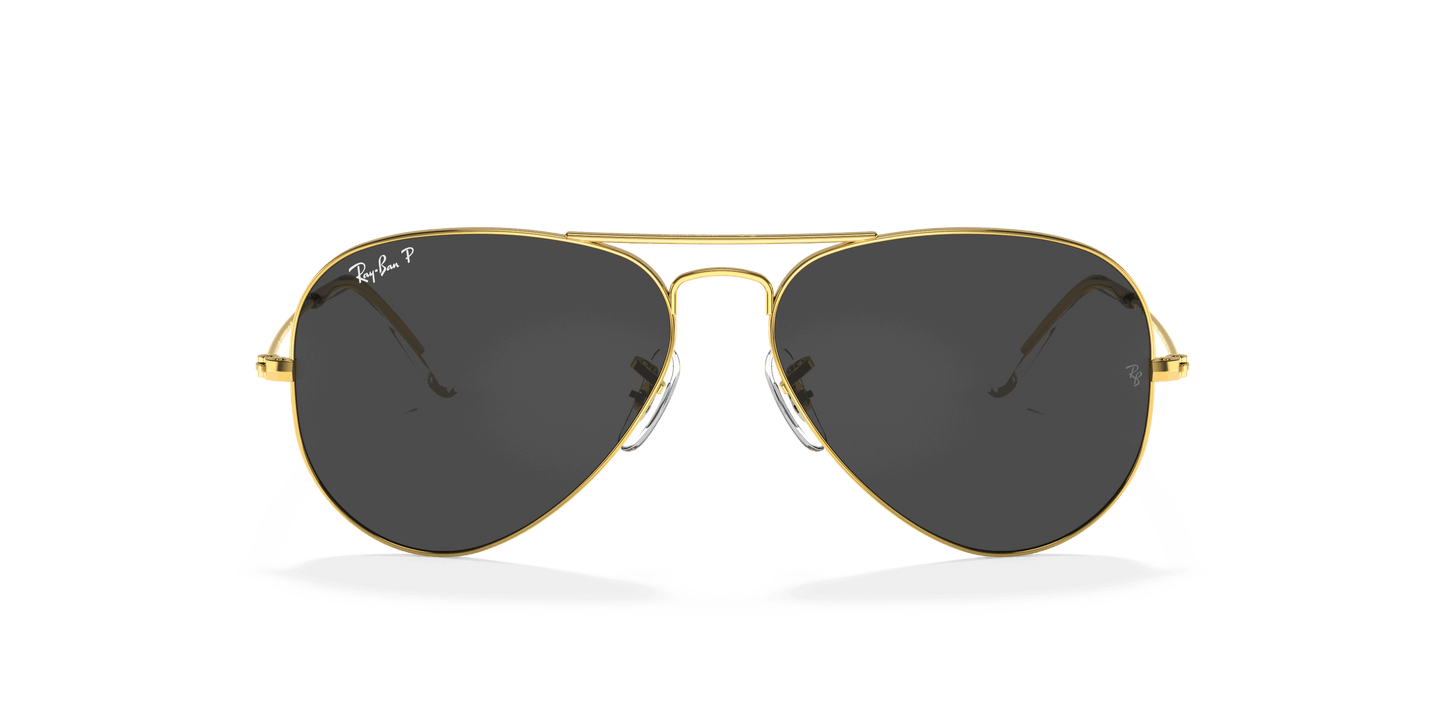 [Black Lenses, Polished Gold Frame]
