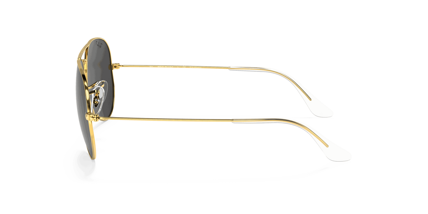 [Black Lenses, Polished Gold Frame]