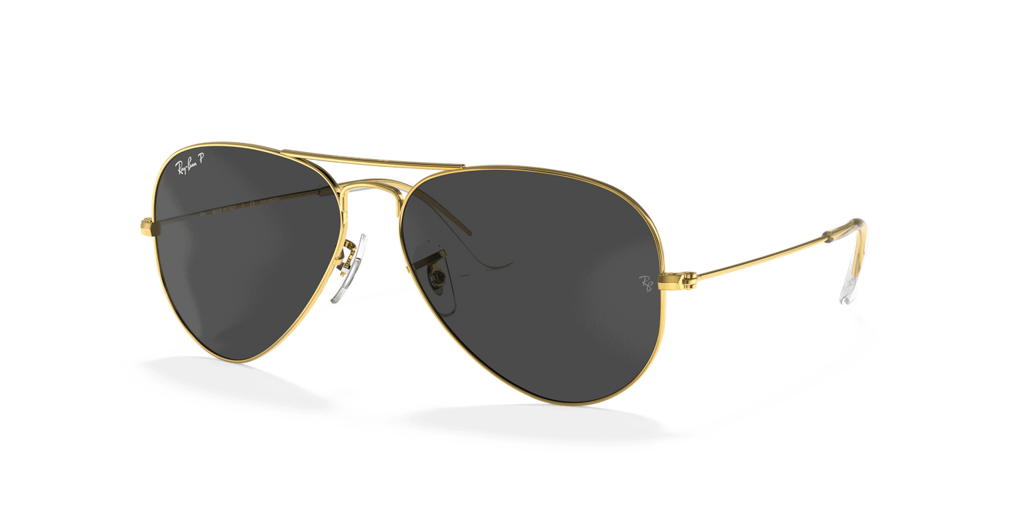 [Black Lenses, Polished Gold Frame]