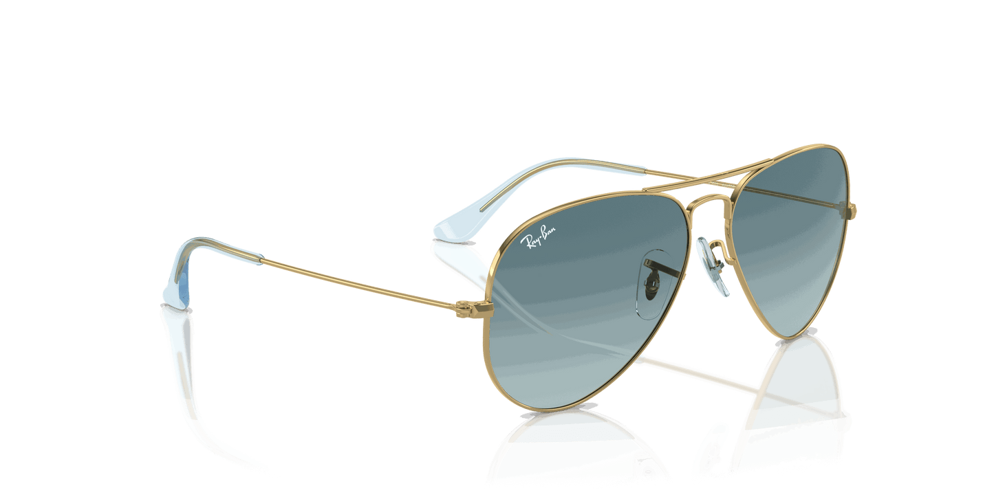 [Blue Lenses, Polished Gold Frame]