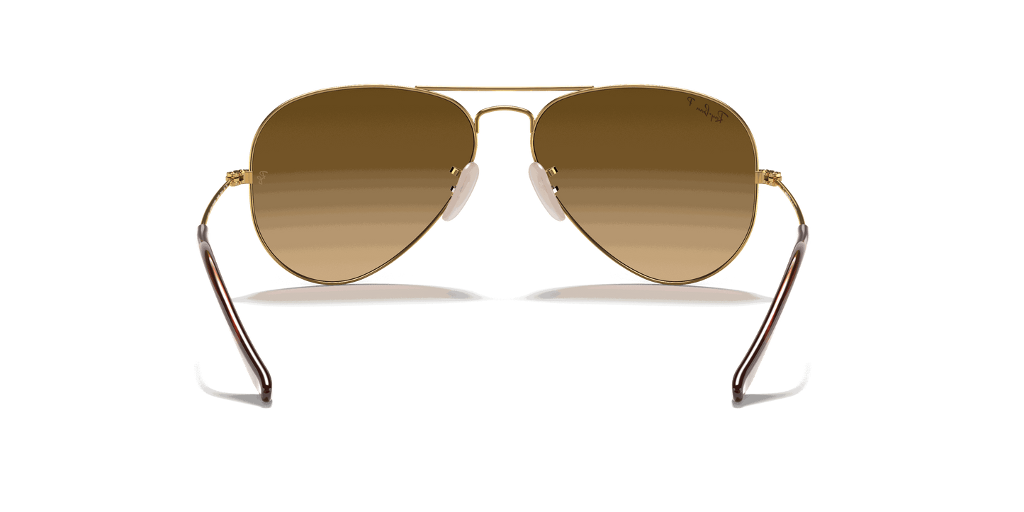 [Brown Lenses, Polished Arista Gold Frame]