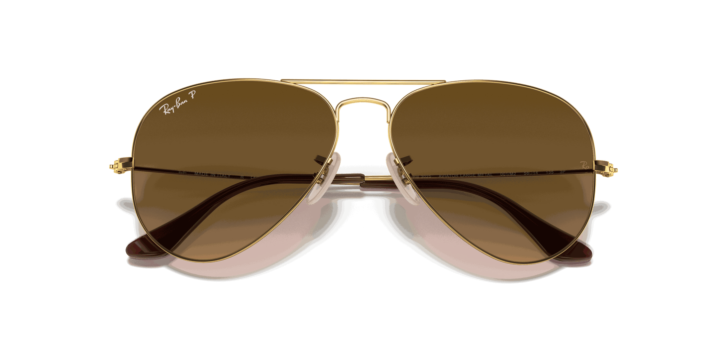[Brown Lenses, Polished Arista Gold Frame]