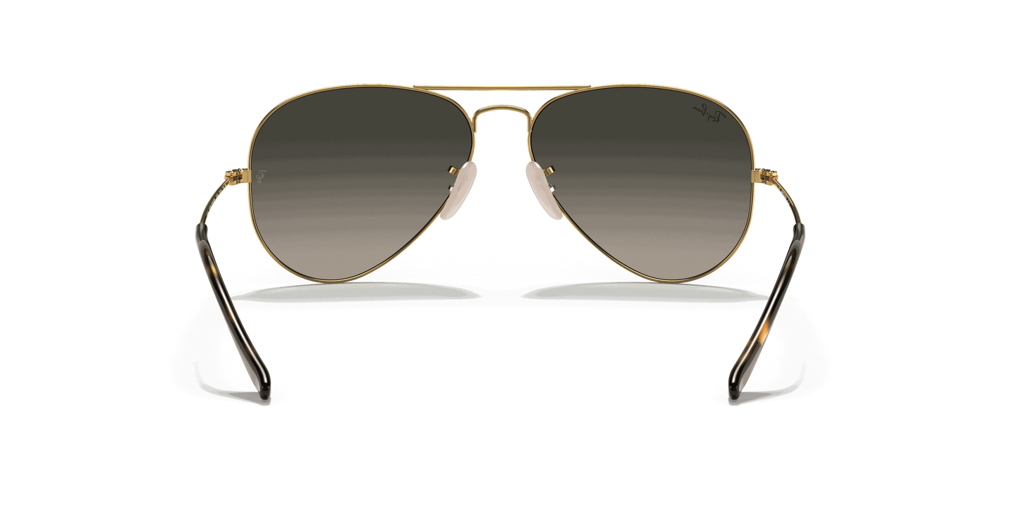 [Grey Gradient Lenses, Polished Arista Gold Frame]