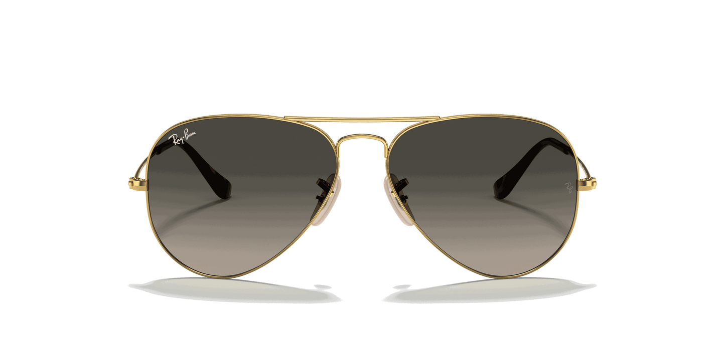 [Grey Gradient Lenses, Polished Arista Gold Frame]