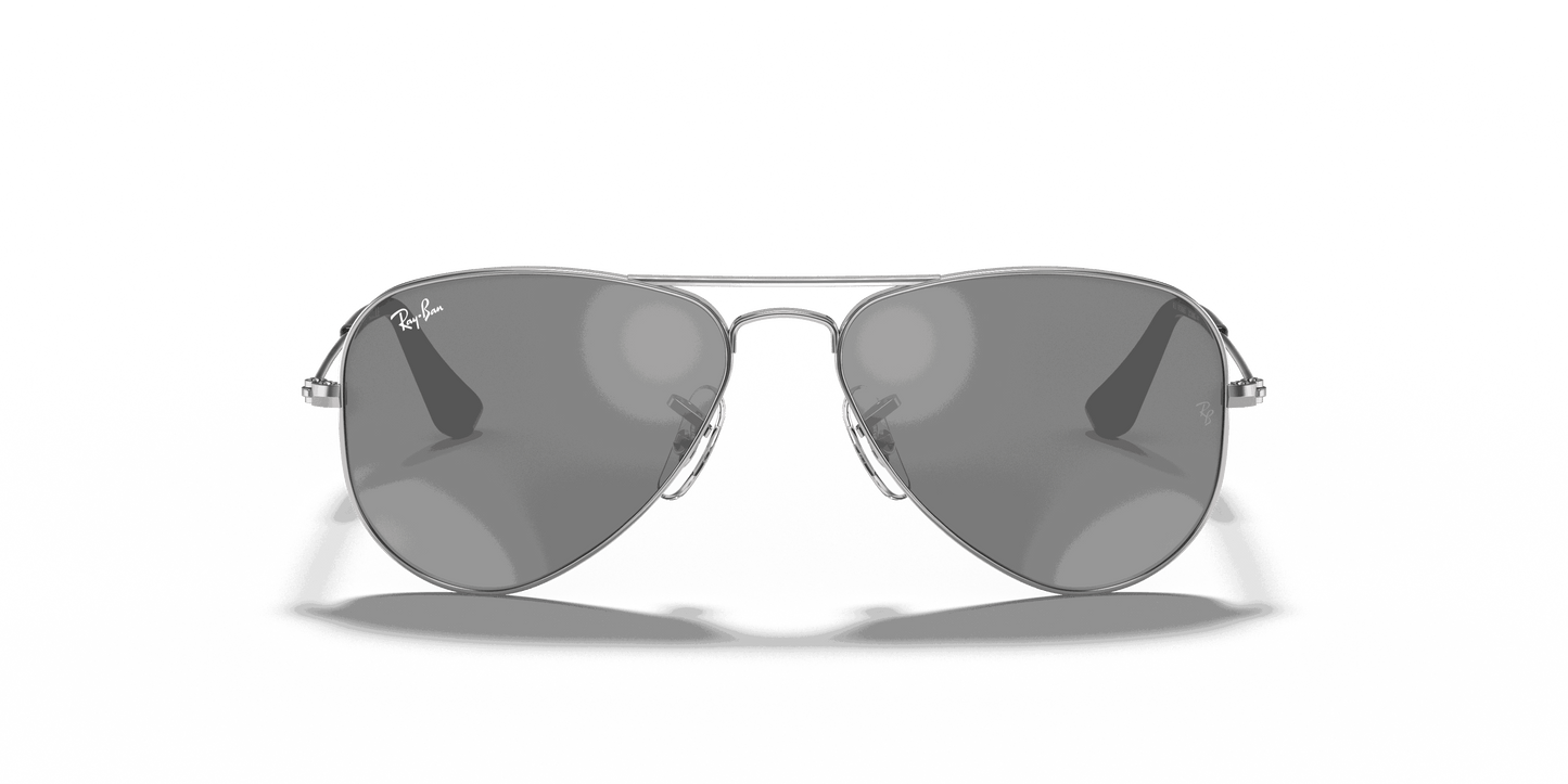 [Grey/Silver Lenses, Polished Silver Frame]