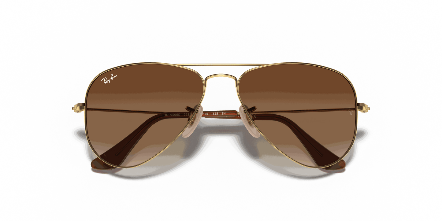 [Brown Lenses, Polished Arista Gold Frame]