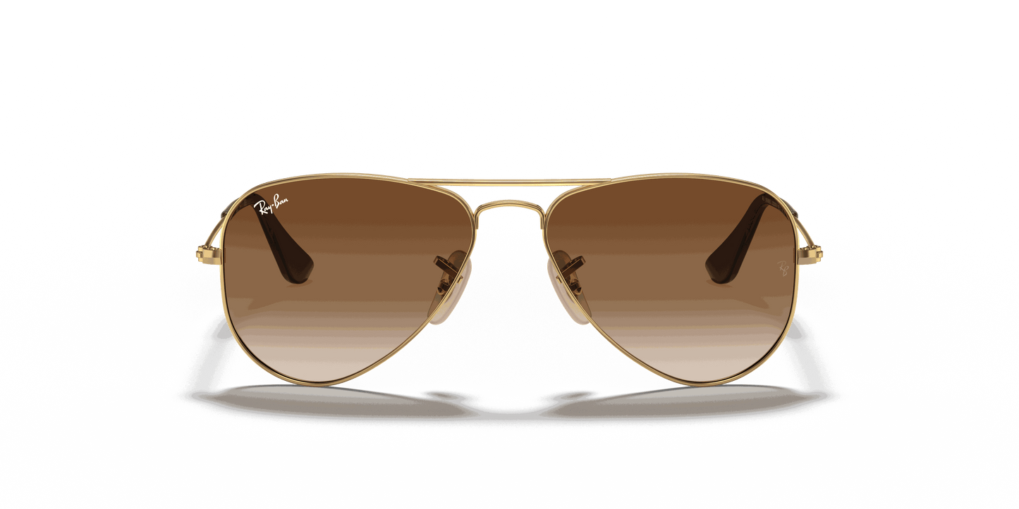[Brown Lenses, Polished Arista Gold Frame]