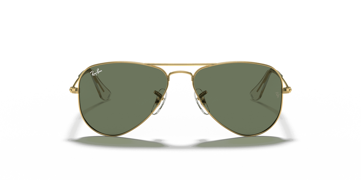 [Dark Green Lenses, Polished Arista Gold Frame]