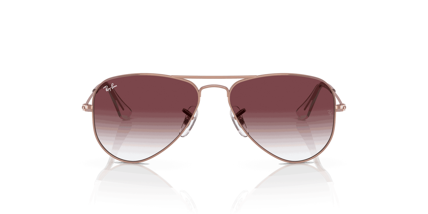 [Gradient Dark Violet Lenses, Polished Rose Gold Frame]