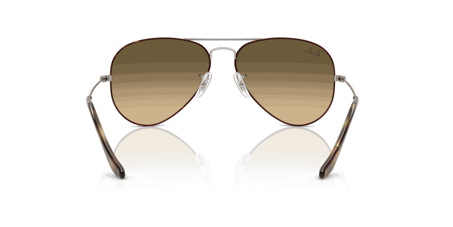 [Brown Vintage Gradient Black Lenses, Polished Havana On Gunmetal Frame]