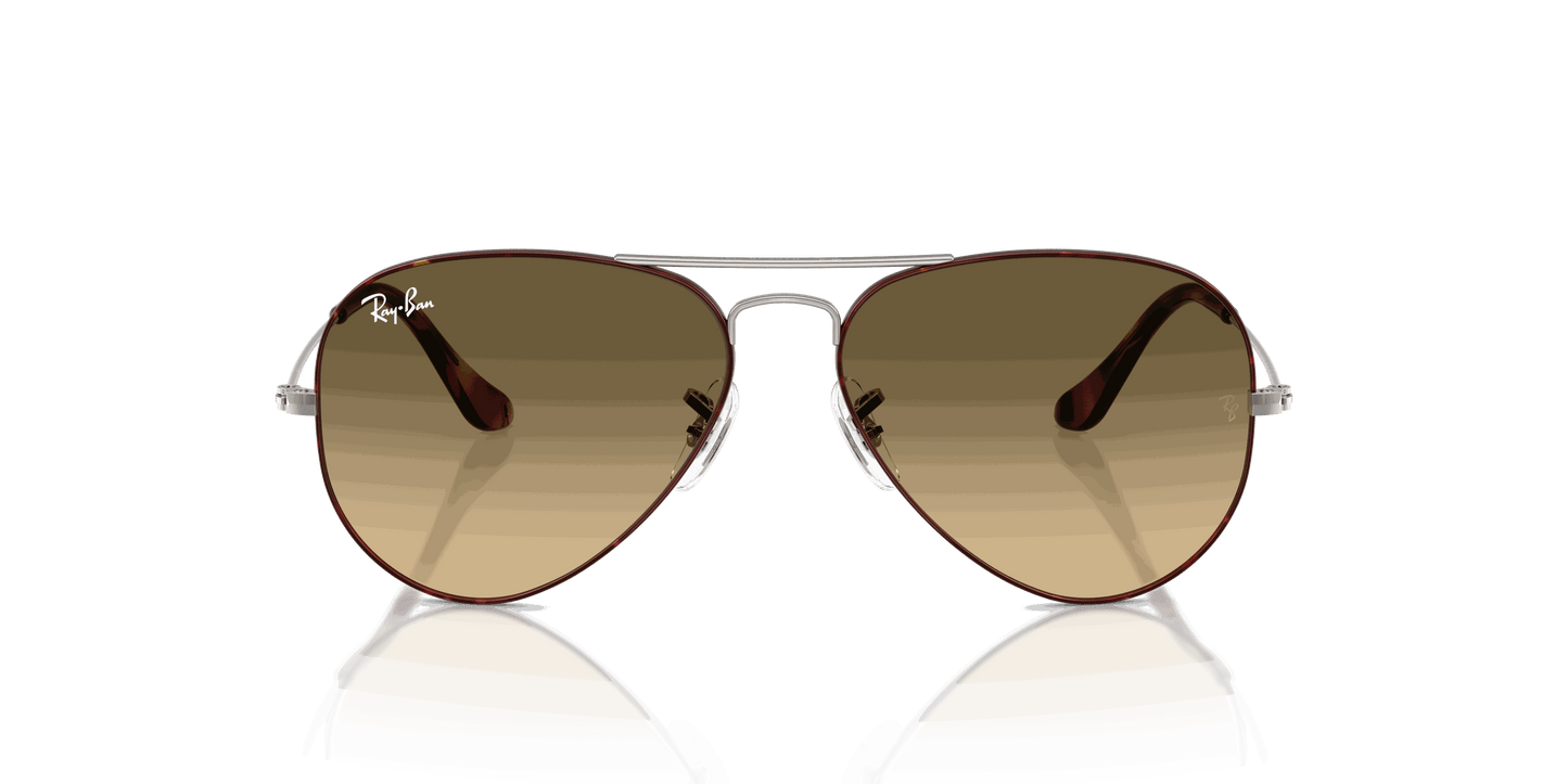 [Brown Vintage Gradient Black Lenses, Polished Havana On Gunmetal Frame]