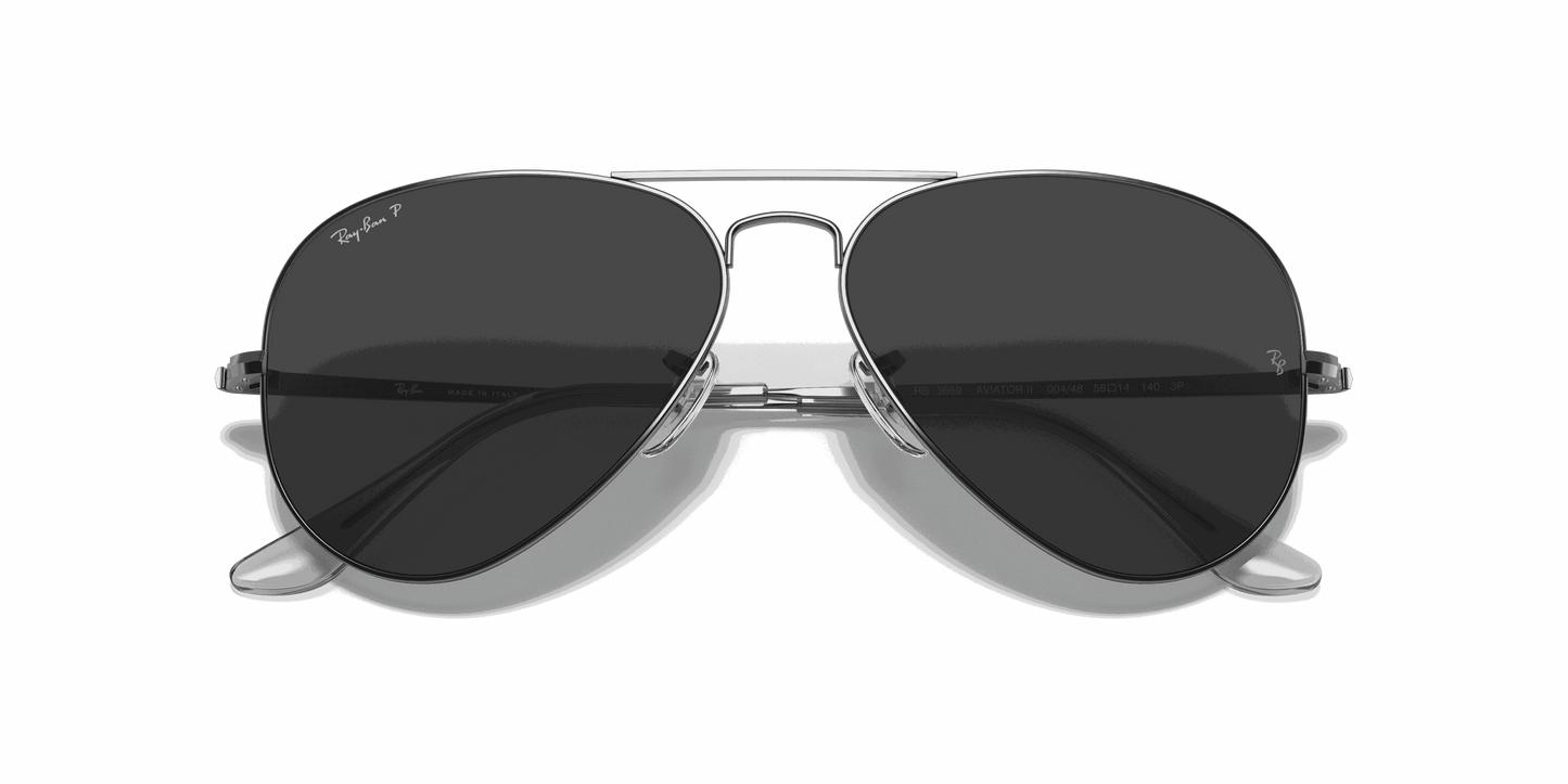 [Black Lenses, Polished Gunmetal Frame]