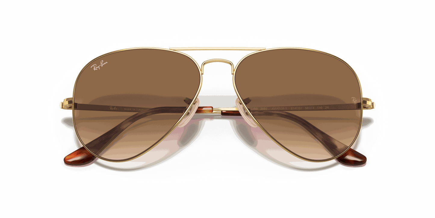 [Light Brown Gradient Lenses, Polished Arista Gold Frame]