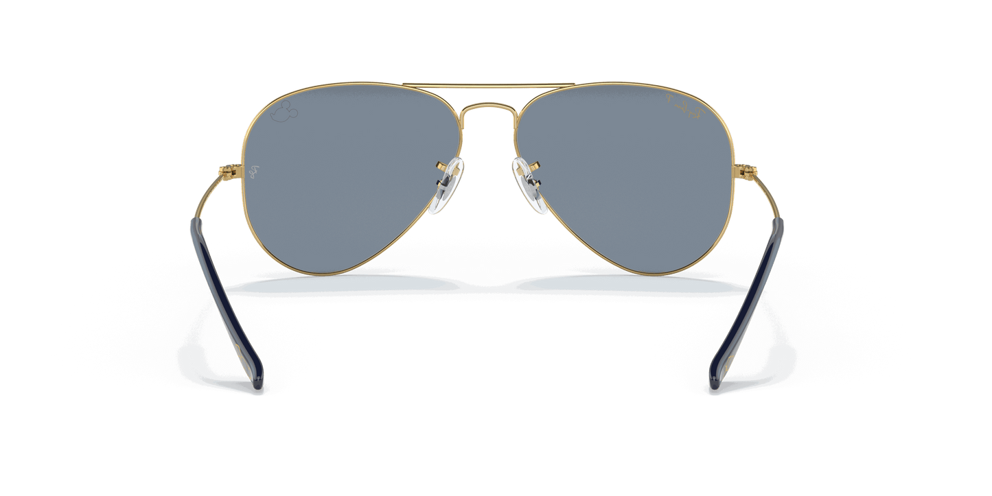 [Blue Lenses, Polished Arista Gold Frame]