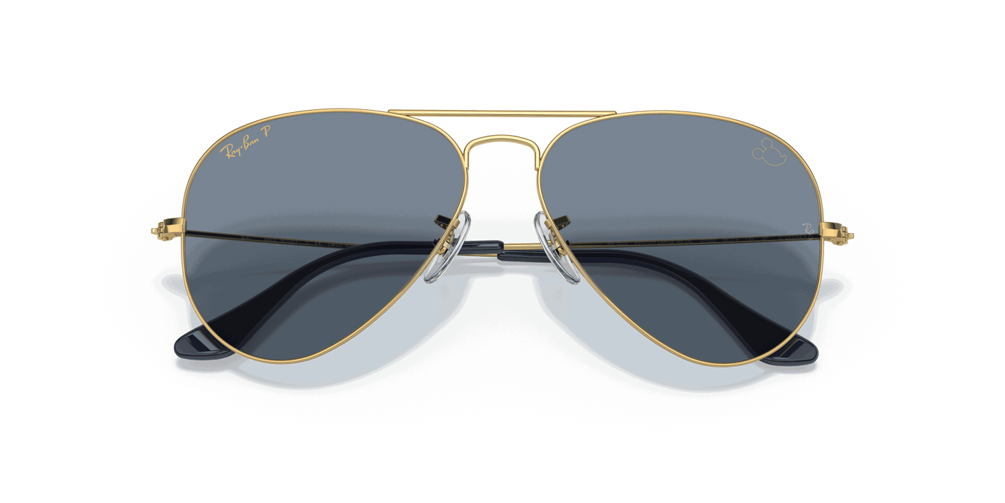 [Blue Lenses, Polished Arista Gold Frame]