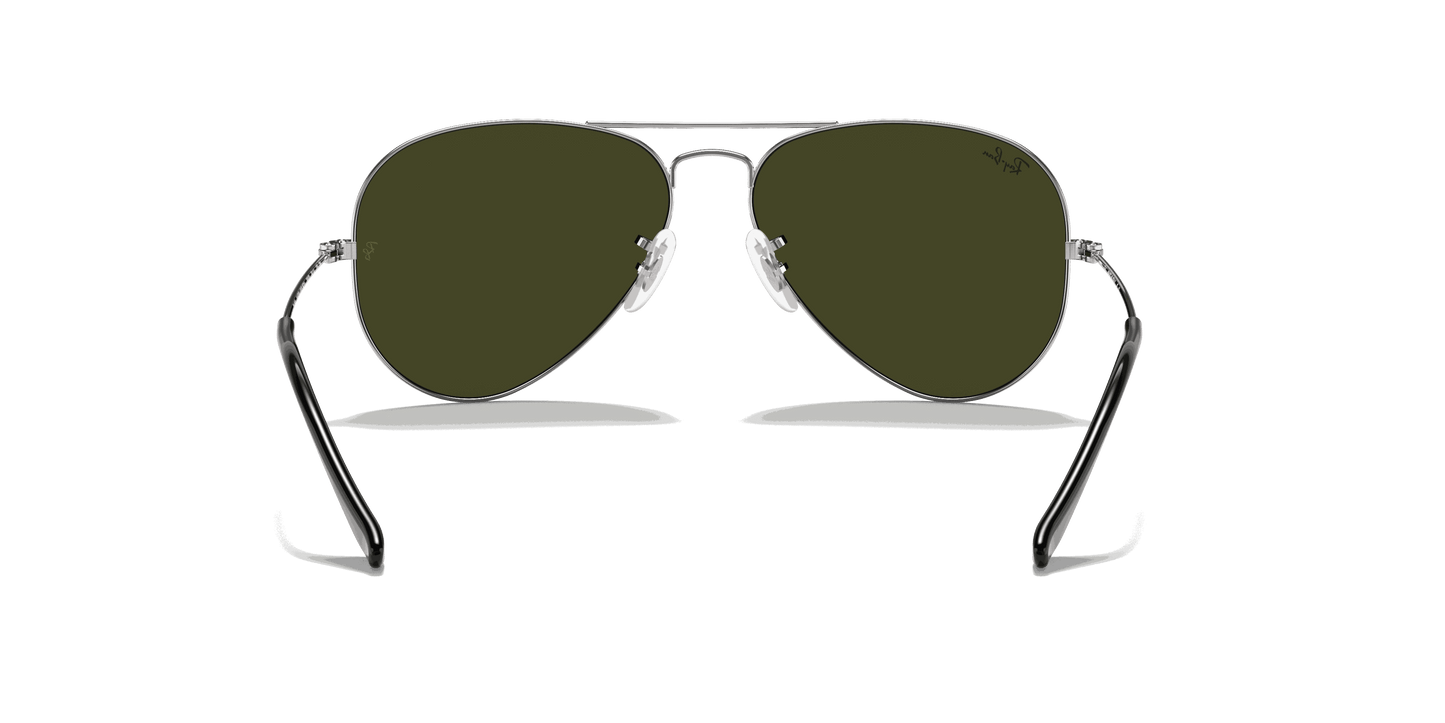 [Grey Lenses, Polished Silver Frame]