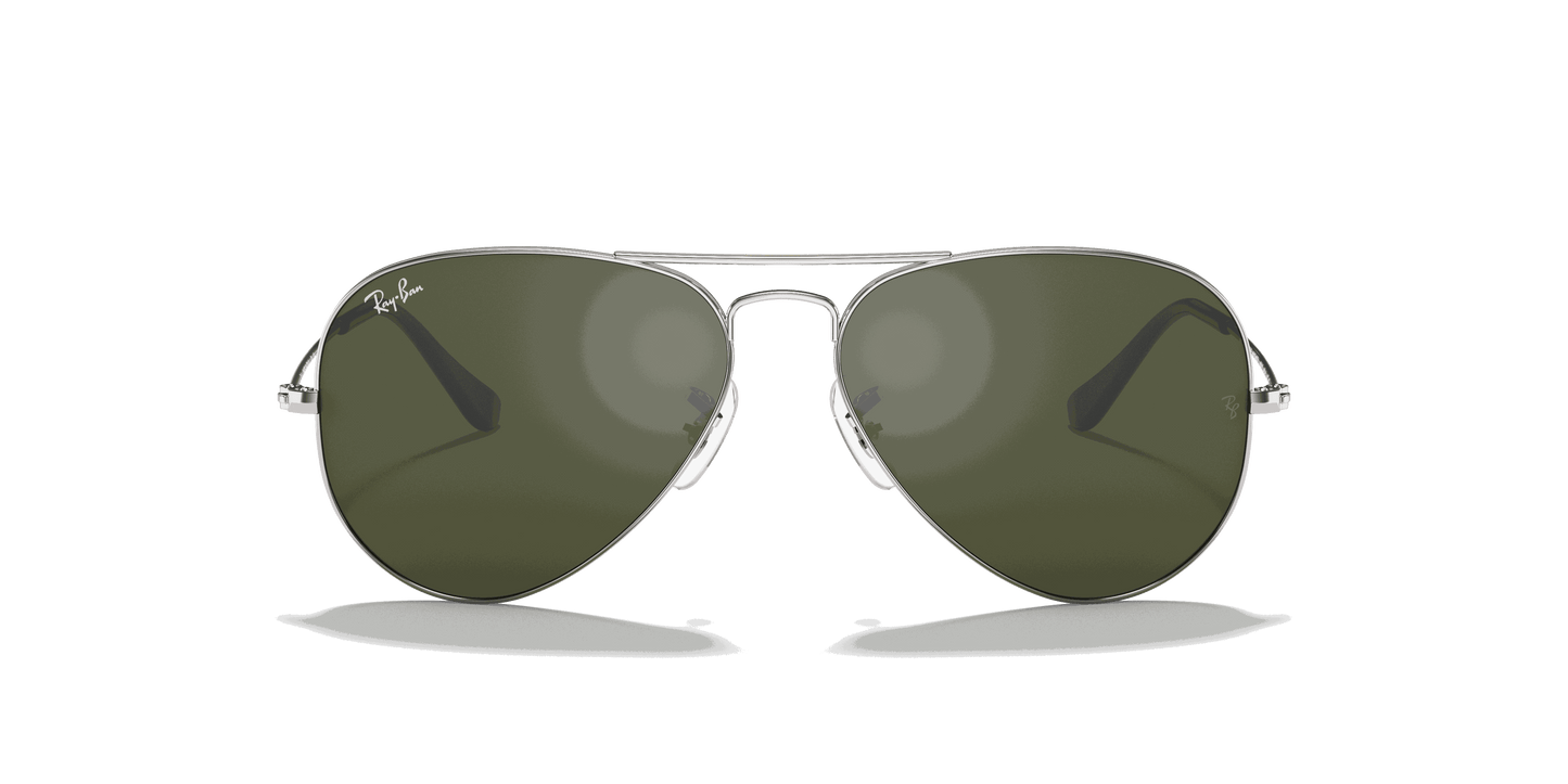 [Grey Lenses, Polished Silver Frame]