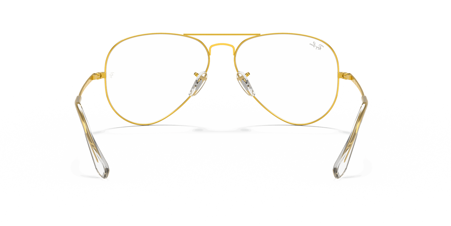 [Clear Lenses, Polished Gold Frame]