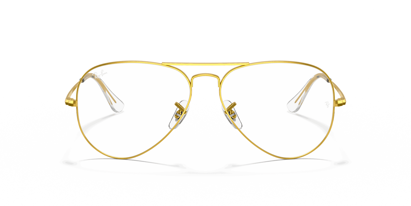 [Clear Lenses, Polished Gold Frame]