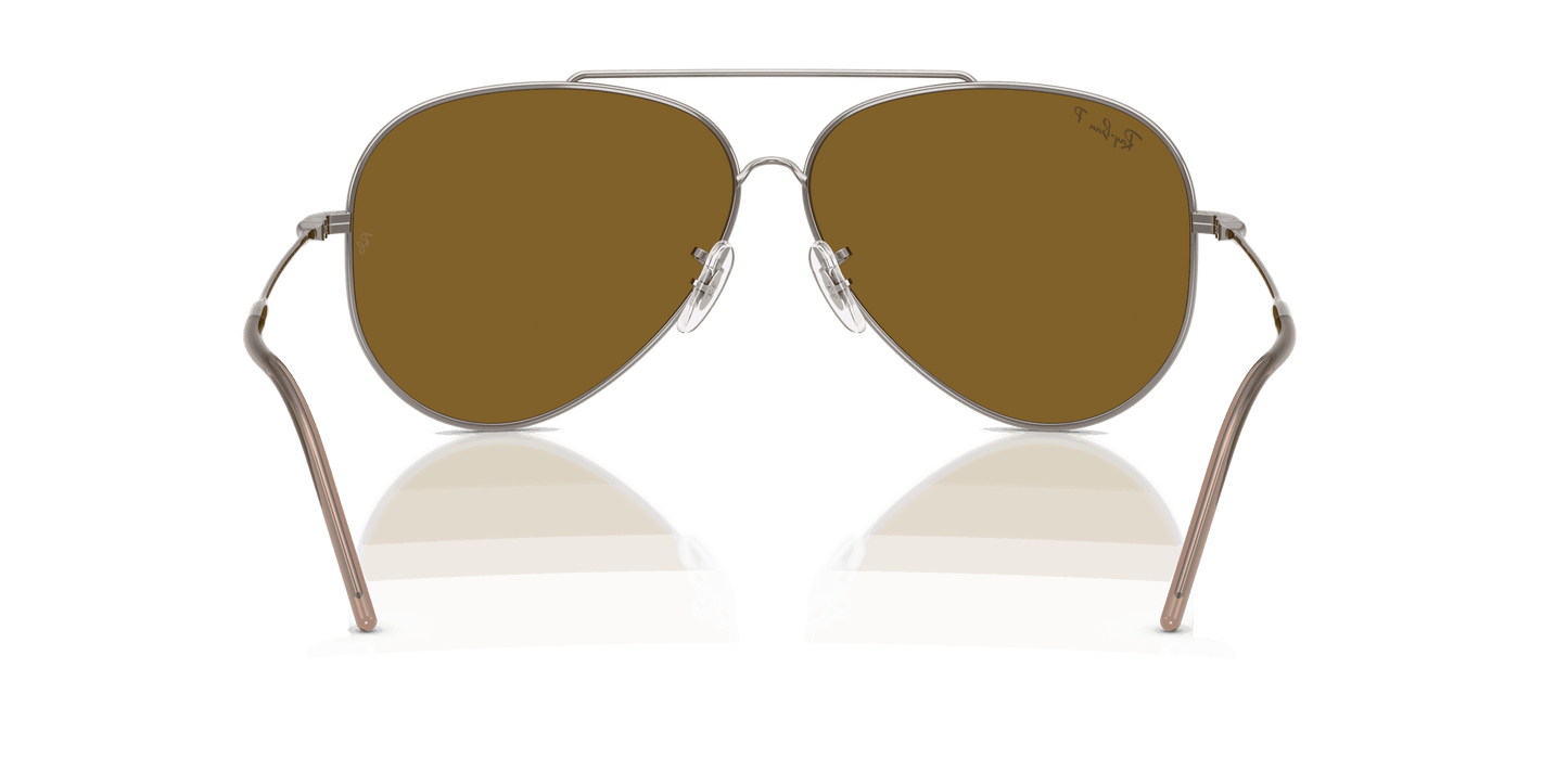[Polar Dark Brown Lenses, Polished Gunmetal Frame]