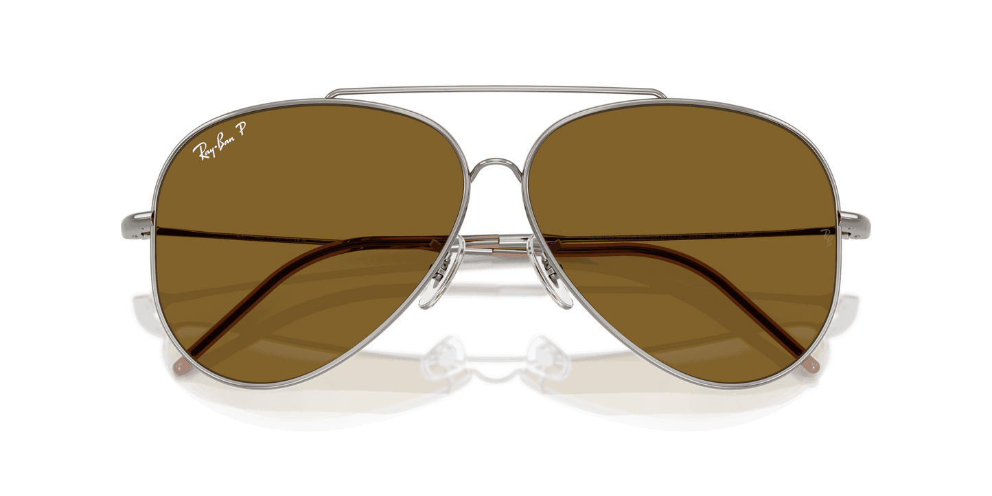 [Polar Dark Brown Lenses, Polished Gunmetal Frame]