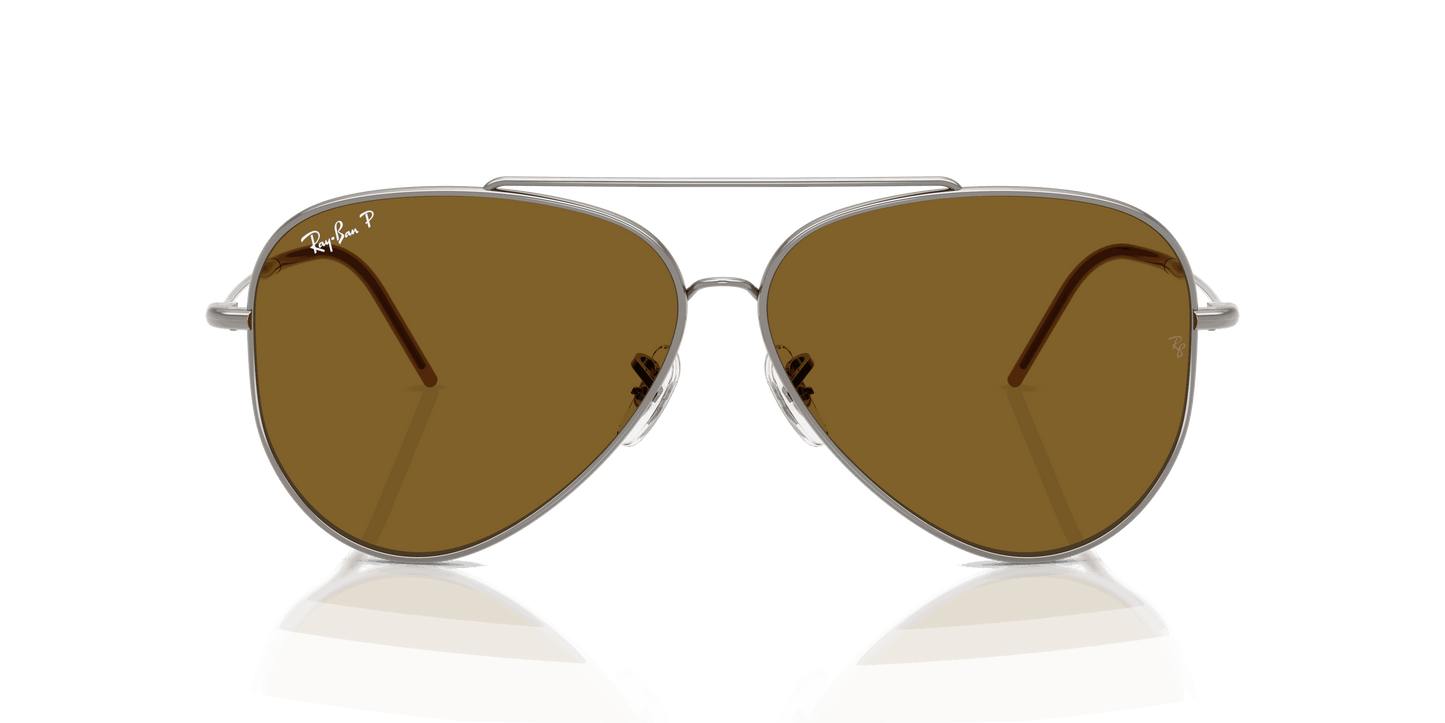 [Polar Dark Brown Lenses, Polished Gunmetal Frame]