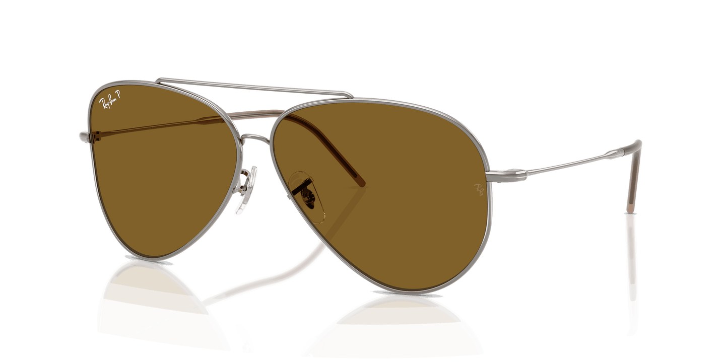 [Polar Dark Brown Lenses, Polished Gunmetal Frame]