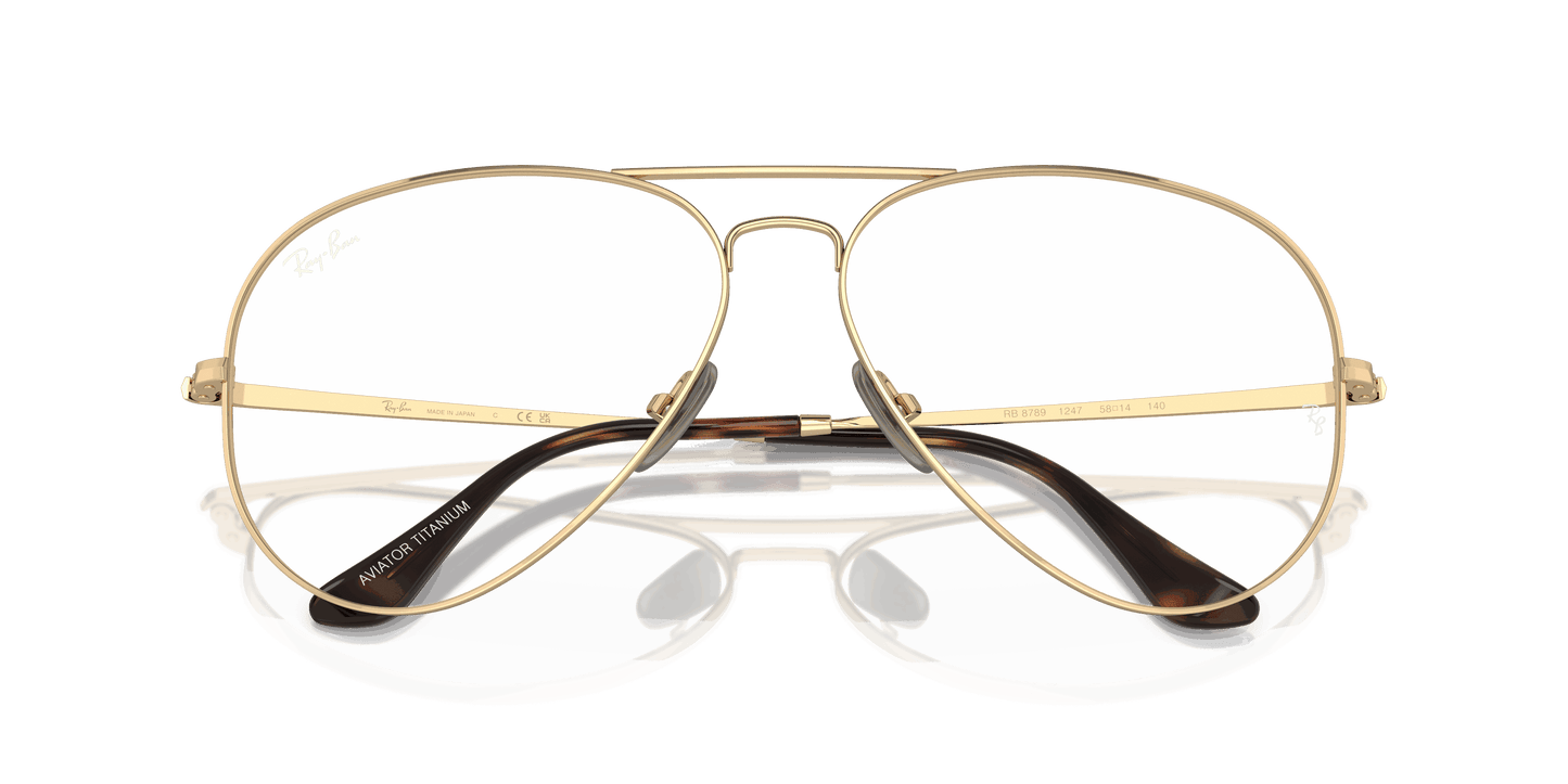 [Clear Lenses, Polished Light Brown Frame]