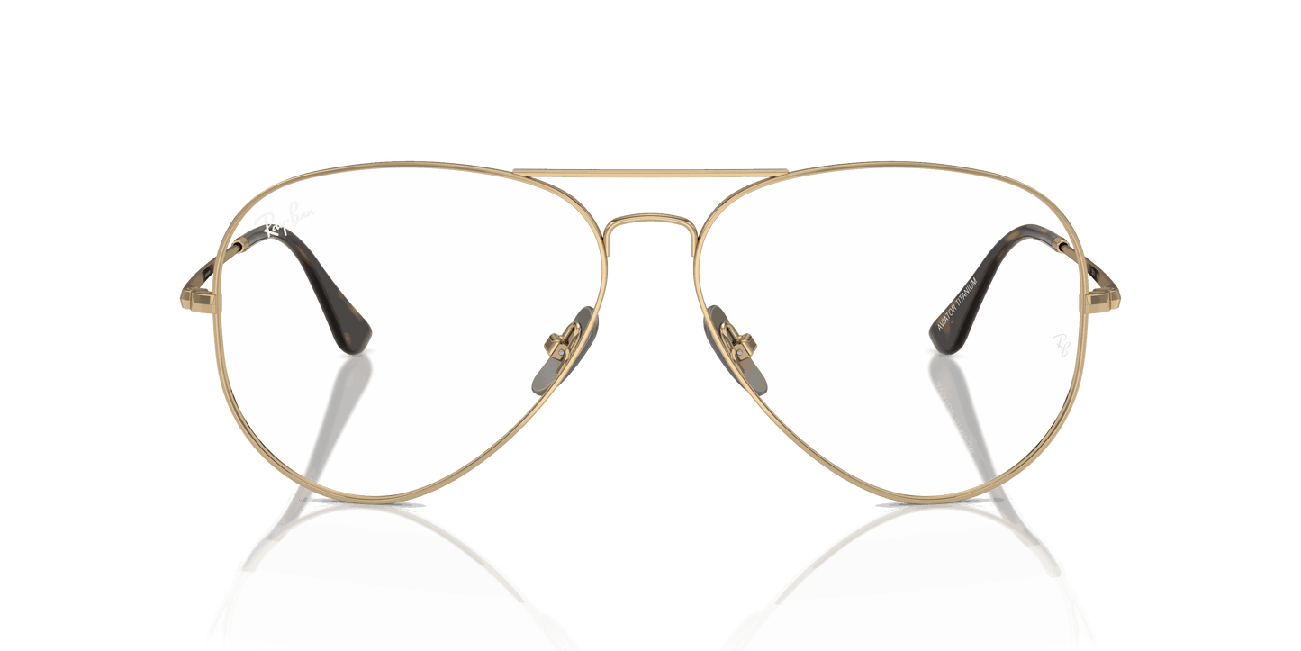 [Clear Lenses, Polished Light Brown Frame]