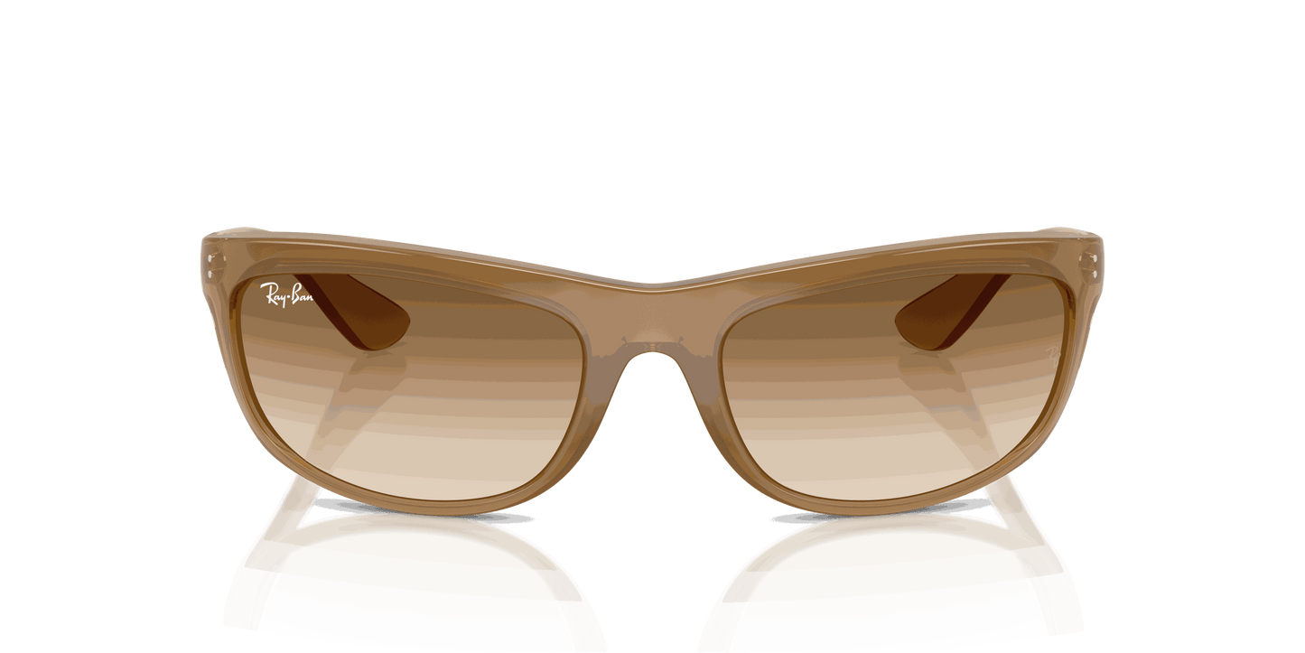 [Clear Gradient Brown Lenses, Matte Opal Light Brown Frame]
