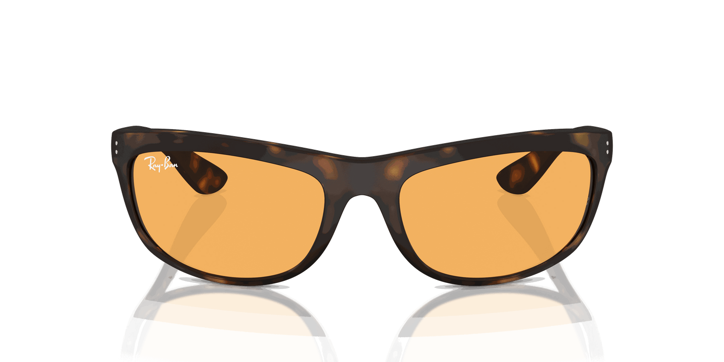 [Orange Lenses, Matte Havana Frame]