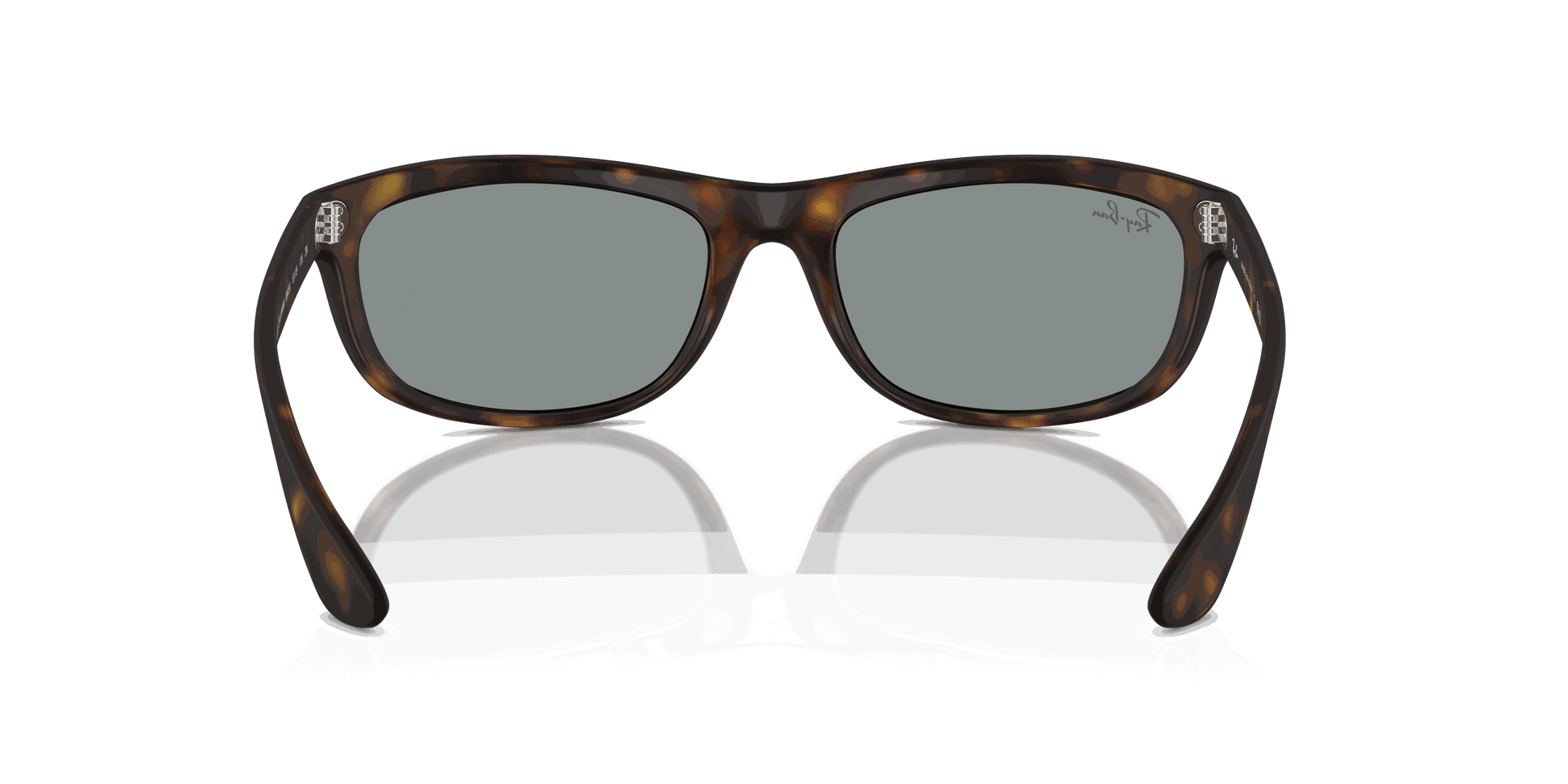 [Blue Lenses, Matte Havana Frame]