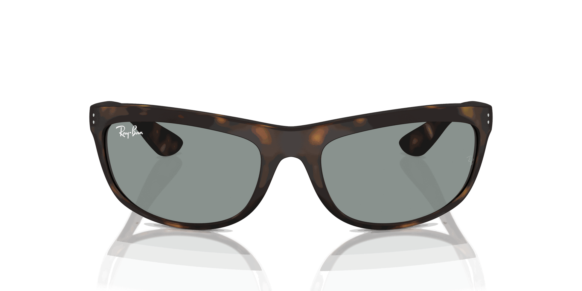 [Blue Lenses, Matte Havana Frame]