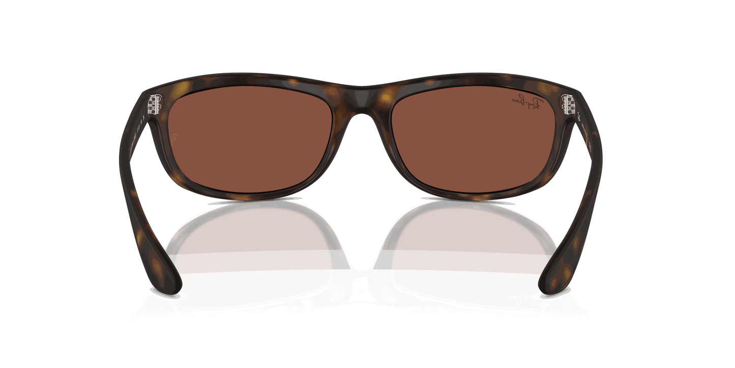 [Red Lenses, Matte Havana Frame]