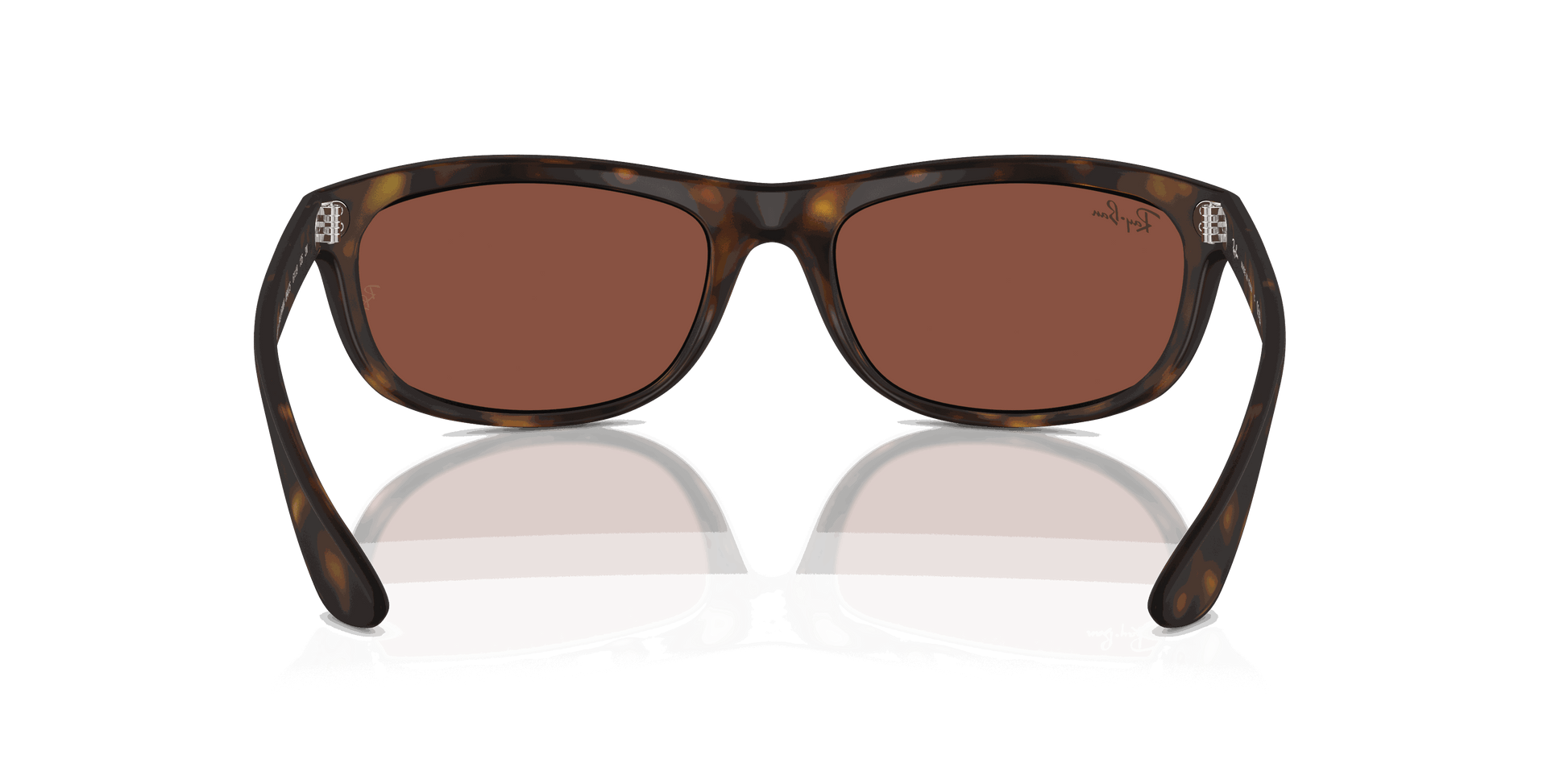 [Red Lenses, Matte Havana Frame]