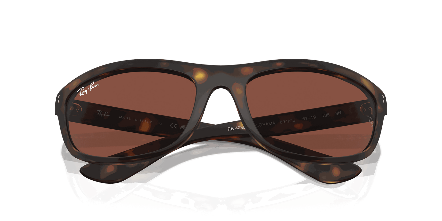 [Red Lenses, Matte Havana Frame]