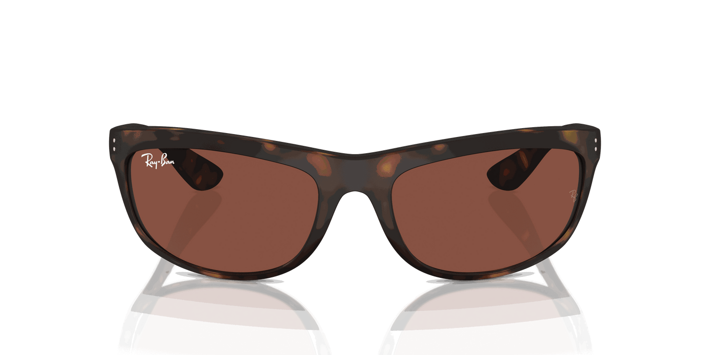 [Red Lenses, Matte Havana Frame]