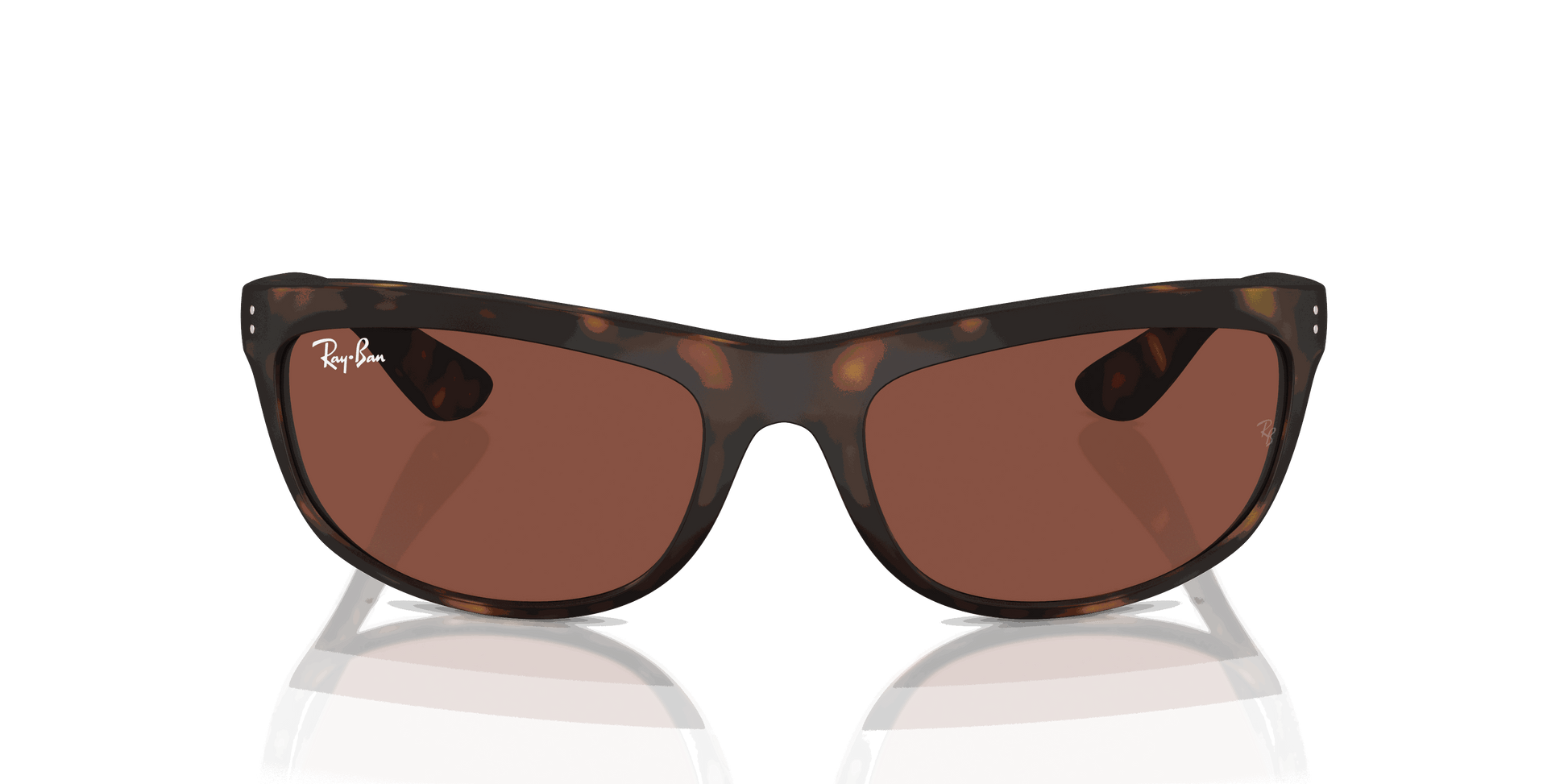 [Red Lenses, Matte Havana Frame]